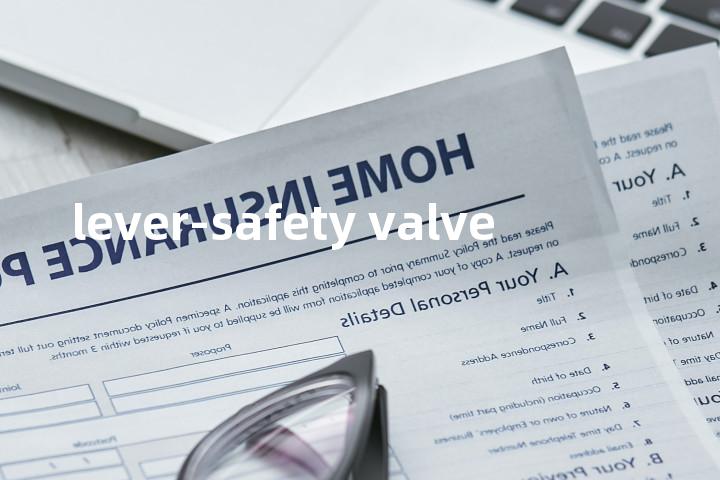 lever-safety valve单词图解，单词释义场景配图