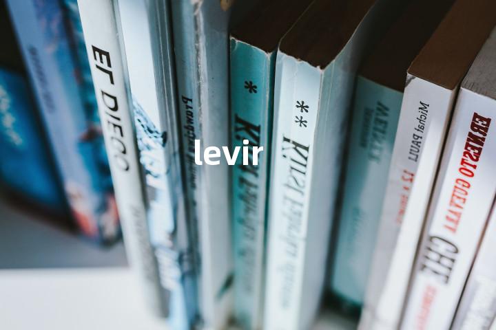 levir单词图解，单词释义场景配图