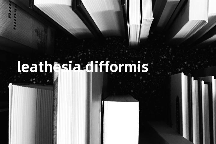 leathesia difformis单词图解，单词释义场景配图