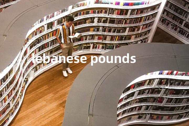 lebanese pounds单词图解，单词释义场景配图