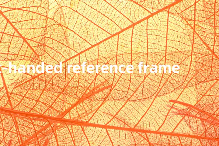 left-handed reference frame单词图解，单词释义场景配图
