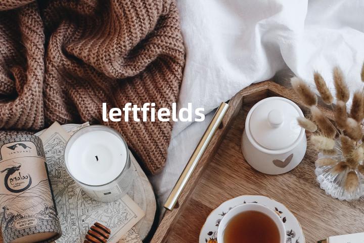 leftfields单词图解，单词释义场景配图