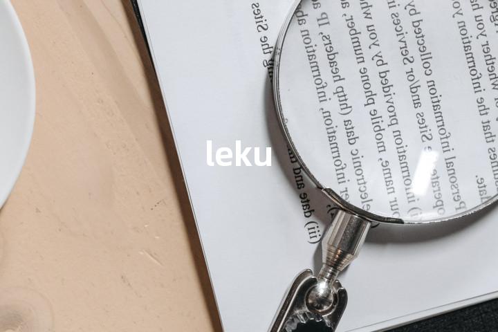 leku单词图解，单词释义场景配图