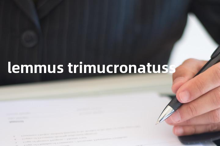 lemmus trimucronatuss单词图解，单词释义场景配图