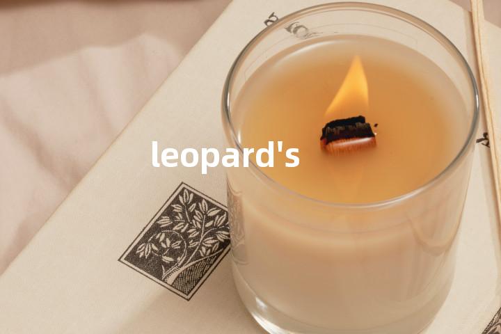 leopard's单词图解，单词释义场景配图