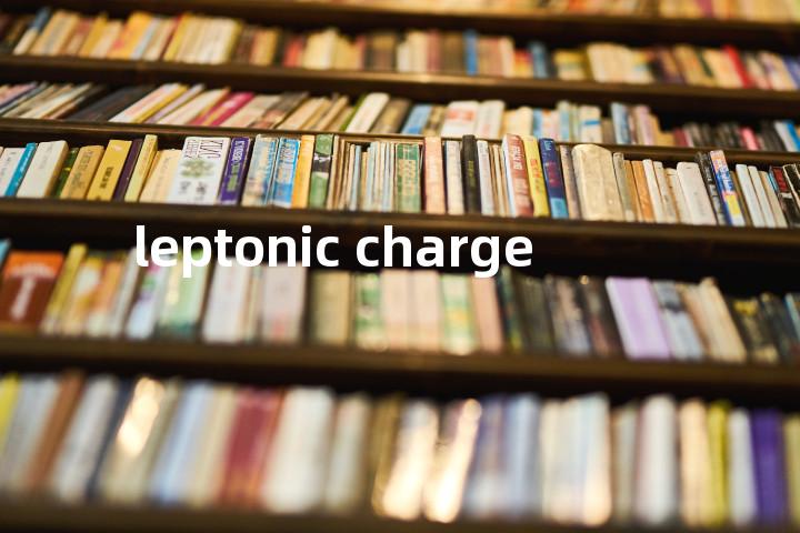 leptonic charge单词图解，单词释义场景配图