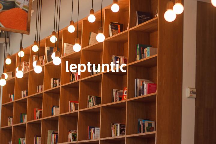 leptuntic单词图解，单词释义场景配图