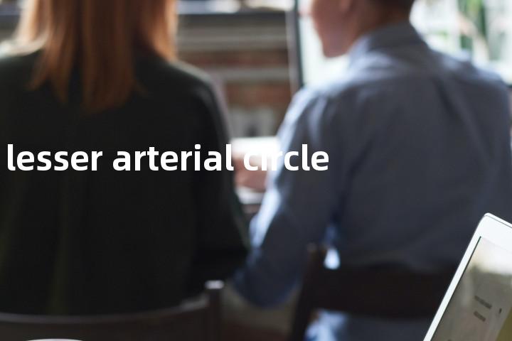 lesser arterial circle单词图解，单词释义场景配图