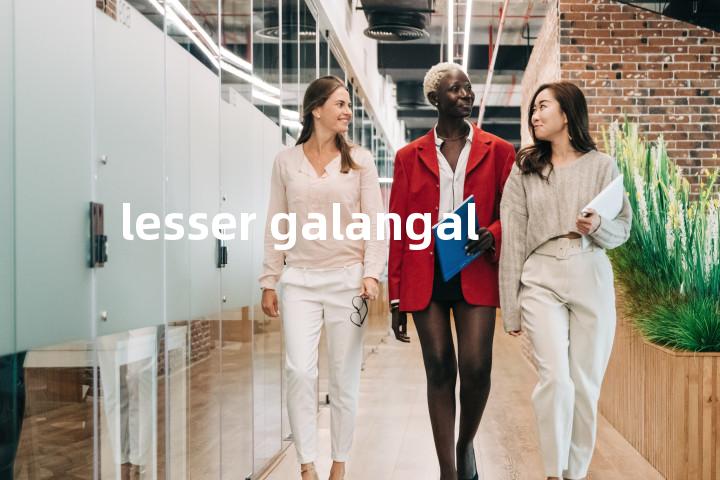 lesser galangal单词图解，单词释义场景配图