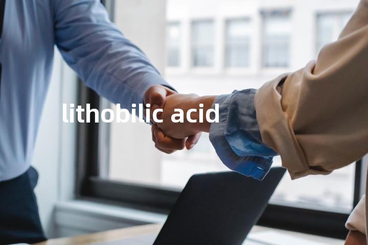 lithobilic acid单词图解，单词释义场景配图