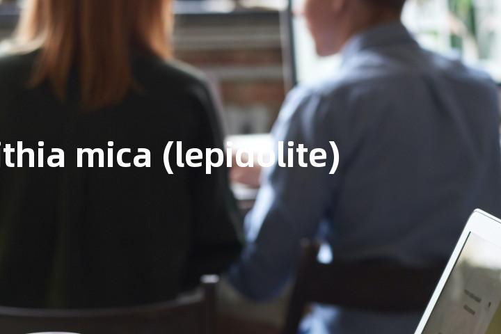 lithia mica (lepidolite)单词图解，单词释义场景配图
