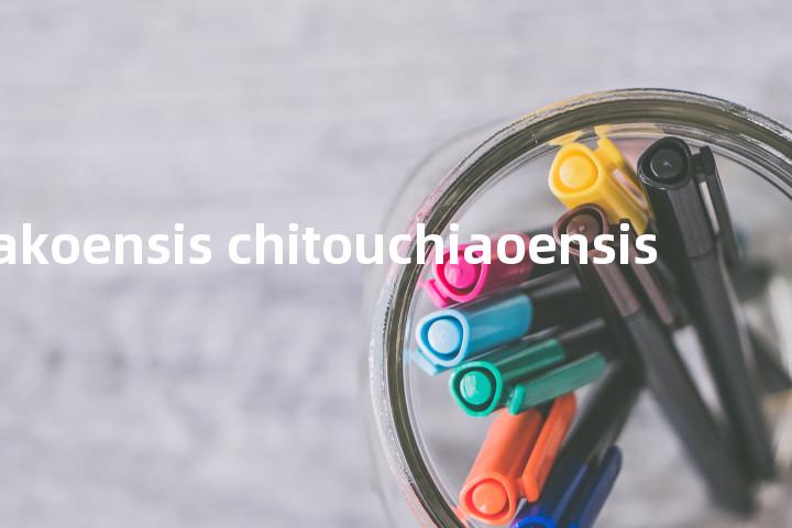 litsea akoensis chitouchiaoensis单词图解，单词释义场景配图