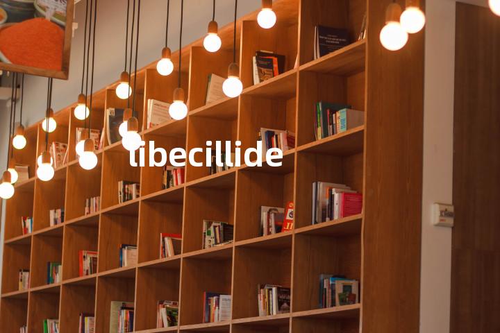 libecillide单词图解，单词释义场景配图