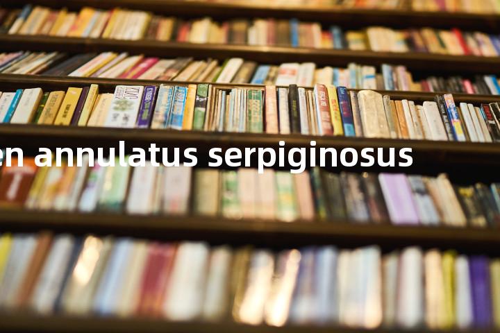 lichen annulatus serpiginosus单词图解，单词释义场景配图