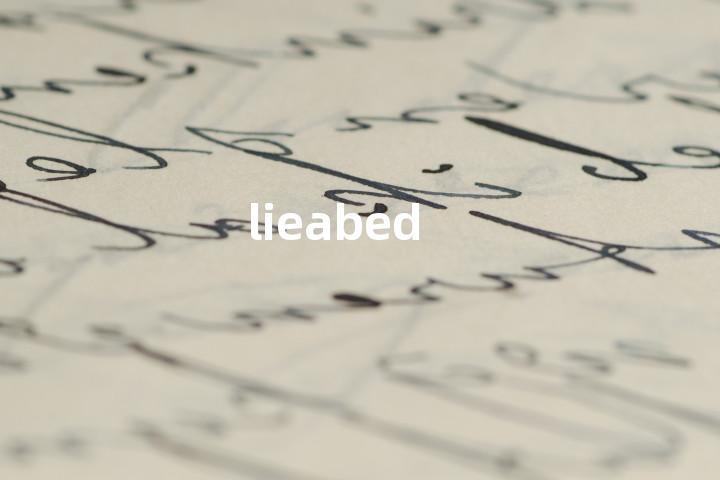 lieabed单词图解，单词释义场景配图