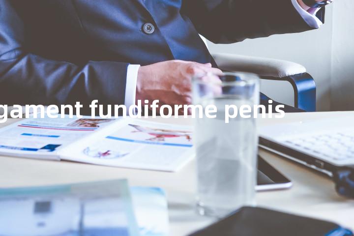ligament fundiforme penis单词图解，单词释义场景配图