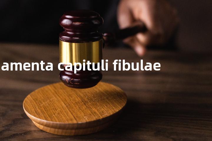 ligamenta capituli fibulae单词图解，单词释义场景配图