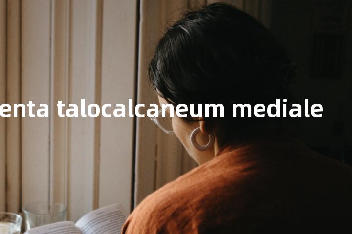 ligamenta talocalcaneum mediale单词图解，单词释义场景配图