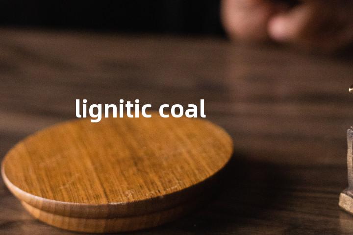 lignitic coal单词图解，单词释义场景配图