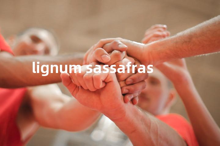lignum sassafras单词图解，单词释义场景配图