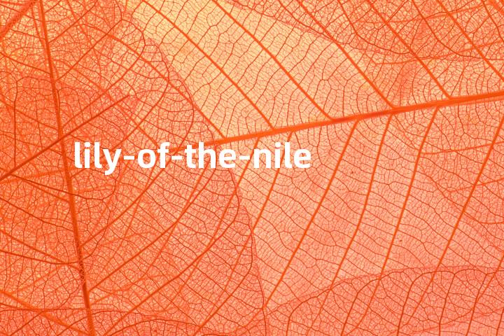lily-of-the-nile单词图解，单词释义场景配图