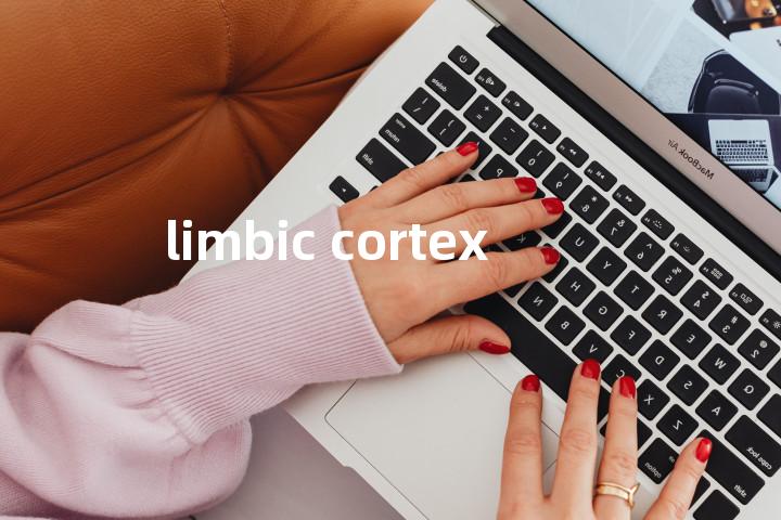 limbic cortex单词图解，单词释义场景配图