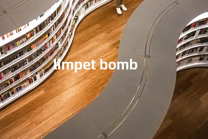 limpet bomb单词图解，单词释义场景配图