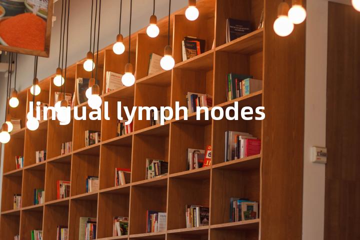 lingual lymph nodes单词图解，单词释义场景配图