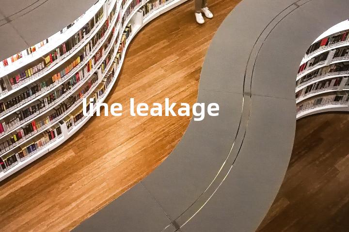 line leakage单词图解，单词释义场景配图