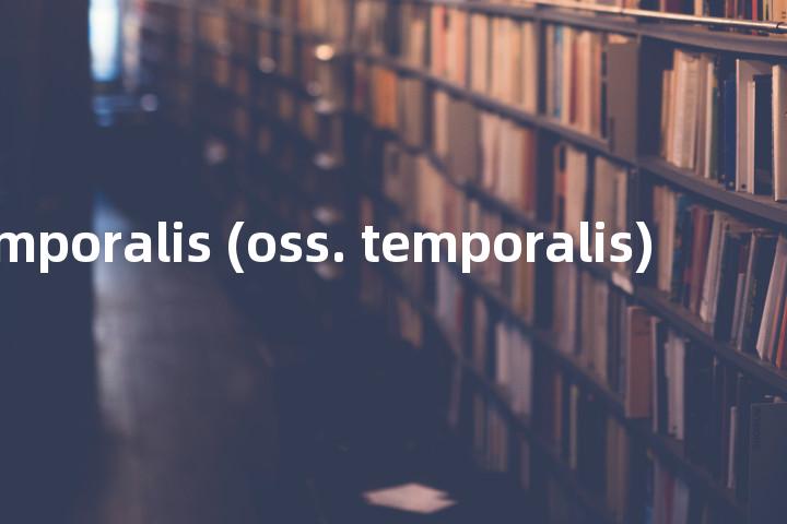 linea temporalis (oss. temporalis)单词图解，单词释义场景配图
