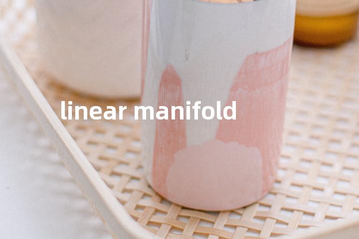 linear manifold单词图解，单词释义场景配图