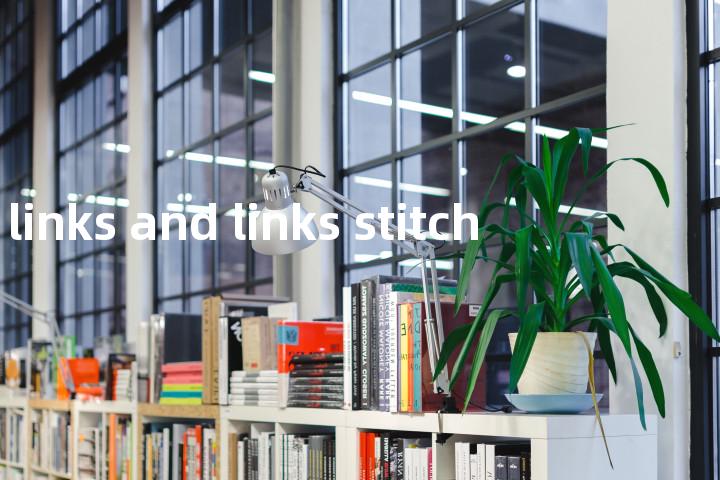 links and links stitch单词图解，单词释义场景配图