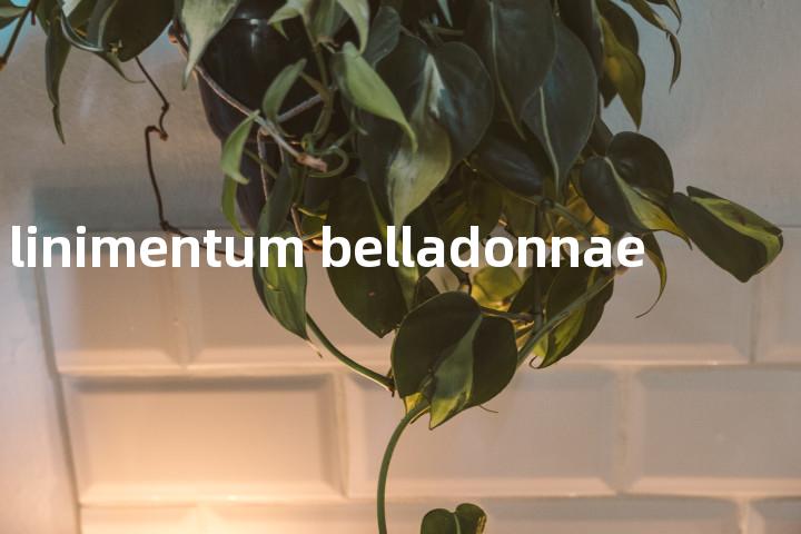 linimentum belladonnae单词图解，单词释义场景配图