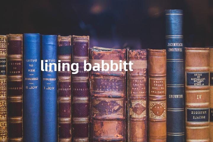 lining babbitt单词图解，单词释义场景配图
