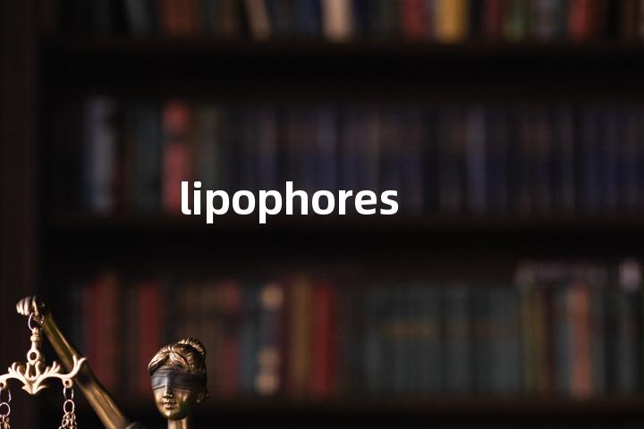 lipophores单词图解，单词释义场景配图