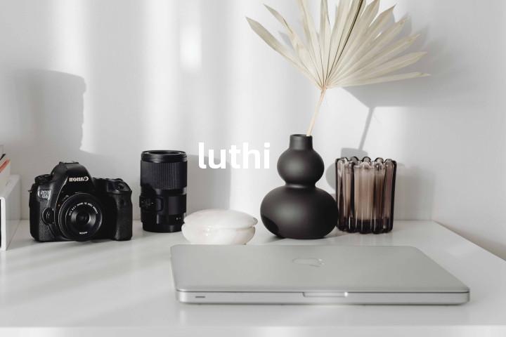 luthi单词图解，单词释义场景配图