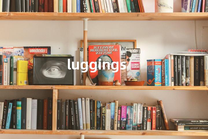 luggings单词图解，单词释义场景配图