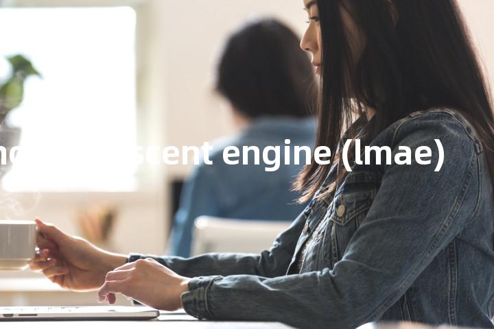 lunar module ascent engine (lmae)单词图解，单词释义场景配图