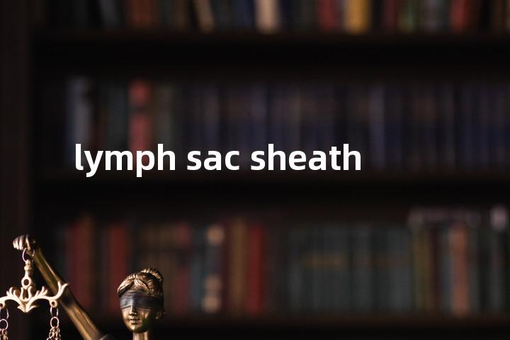 lymph sac sheath单词图解，单词释义场景配图