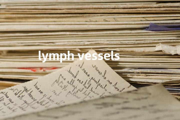 lymph vessels单词图解，单词释义场景配图
