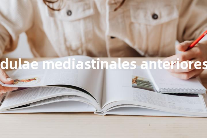 lymphoglandulae mediastinales anteriores单词图解，单词释义场景配图