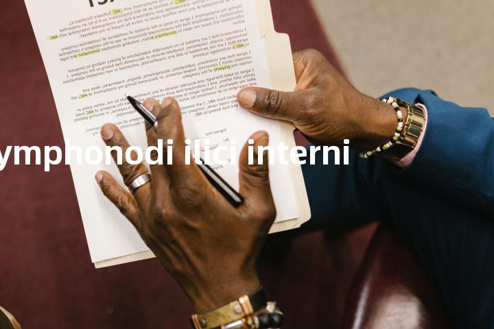 lymphonodi ilici interni单词图解，单词释义场景配图