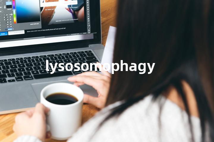 lysosomophagy单词图解，单词释义场景配图