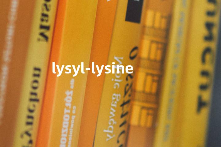 lysyl-lysine单词图解，单词释义场景配图