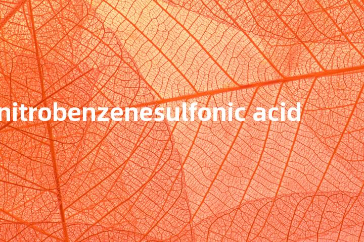 m-nitrobenzenesulfonic acid单词图解，单词释义场景配图