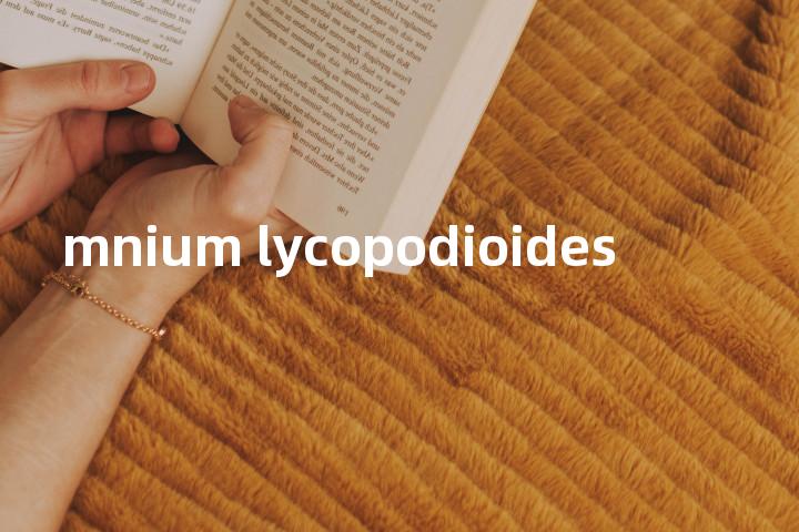 mnium lycopodioides单词图解，单词释义场景配图