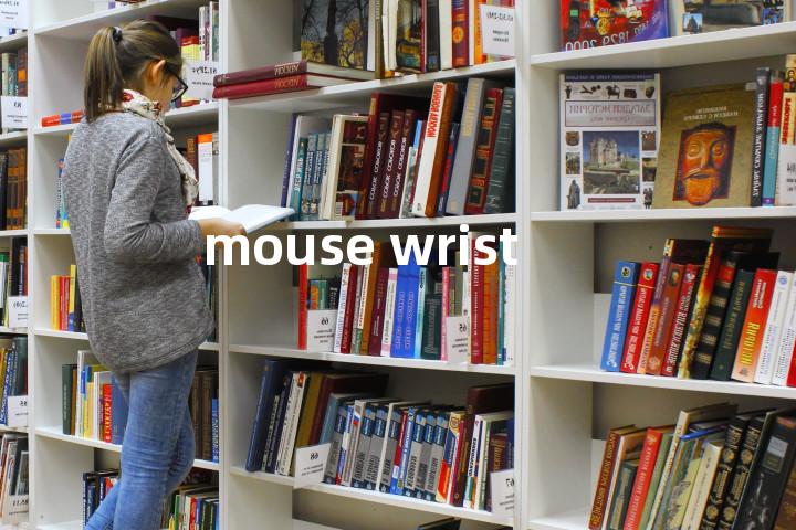mouse wrist单词图解，单词释义场景配图
