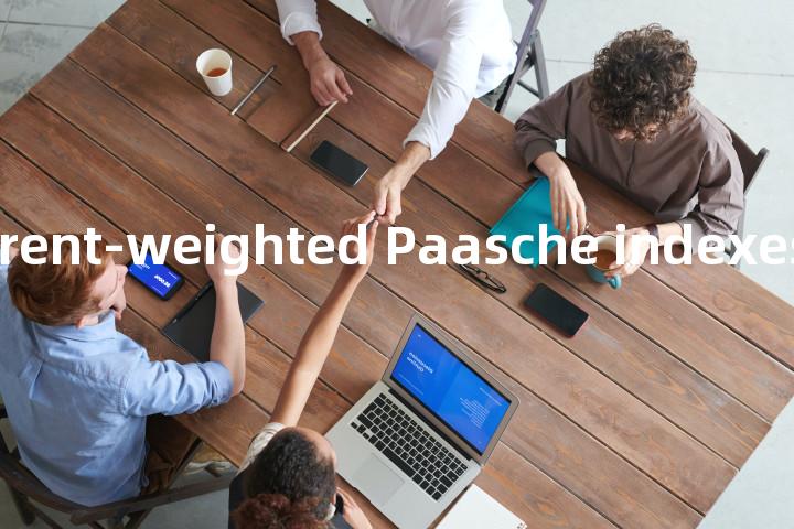 moving current-weighted Paasche indexes单词图解，单词释义场景配图