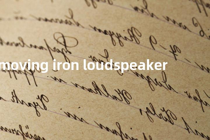 moving iron loudspeaker单词图解，单词释义场景配图