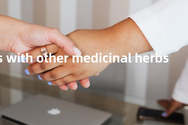 moxa rolls with other medicinal herbs单词图解，单词释义场景配图